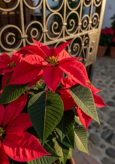 Imagen PNG para descargar